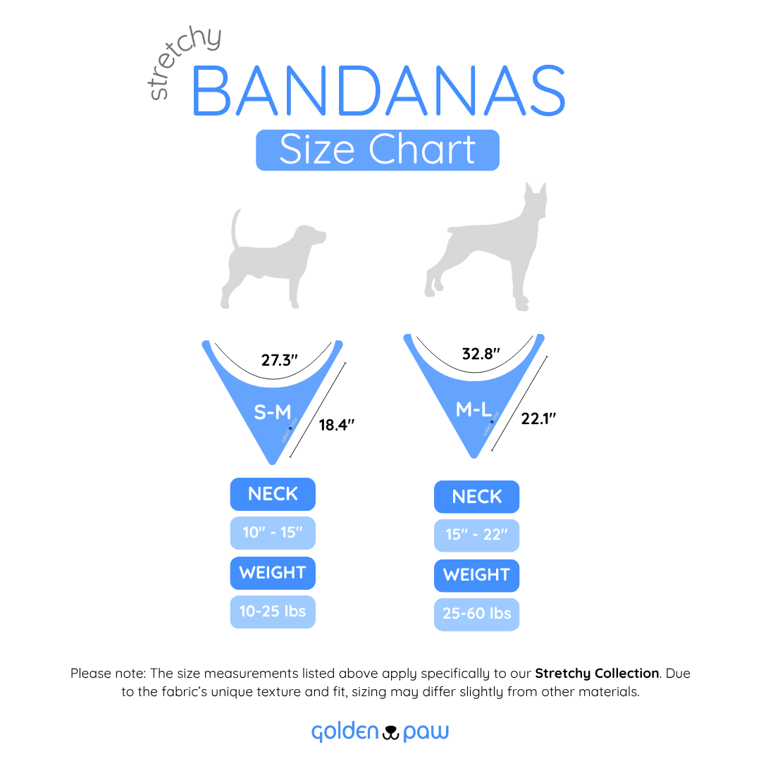 Coastal - Stretch Bandana