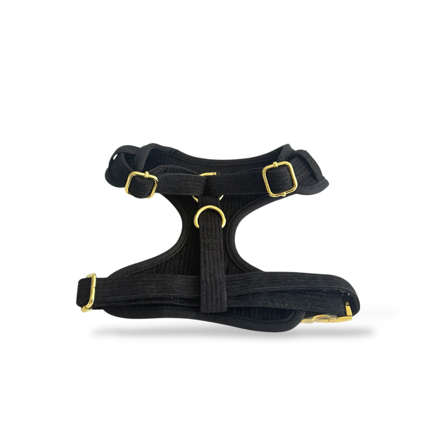 Onyx - Corduroy Harness