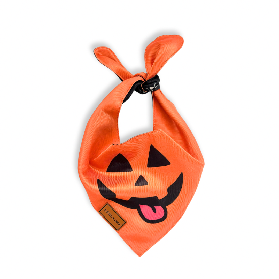 2 in 1 Spooky Bandana