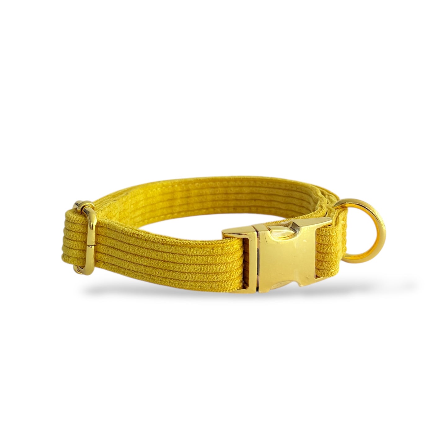 Amber - Corduroy Collar
