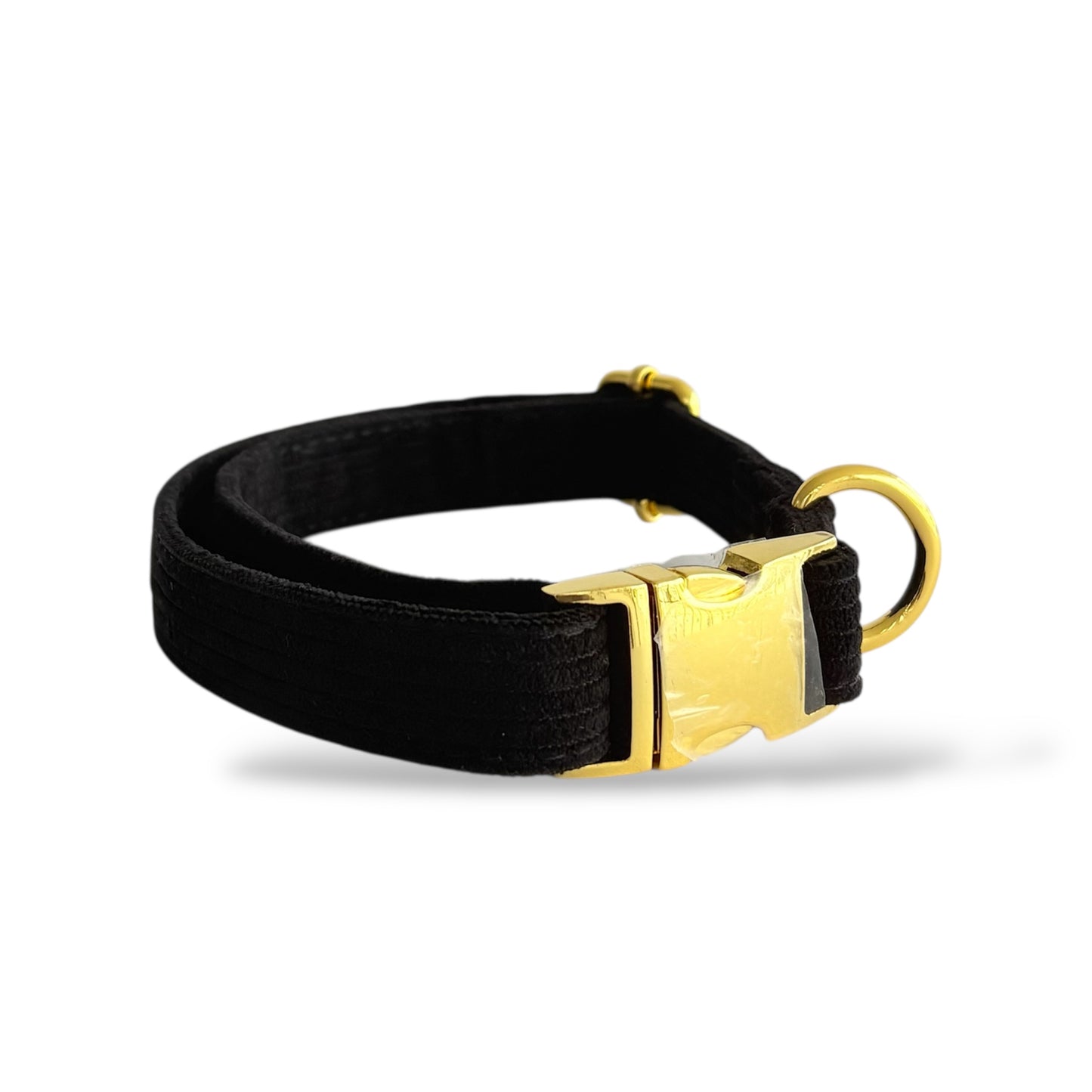 Onyx - Corduroy Collar