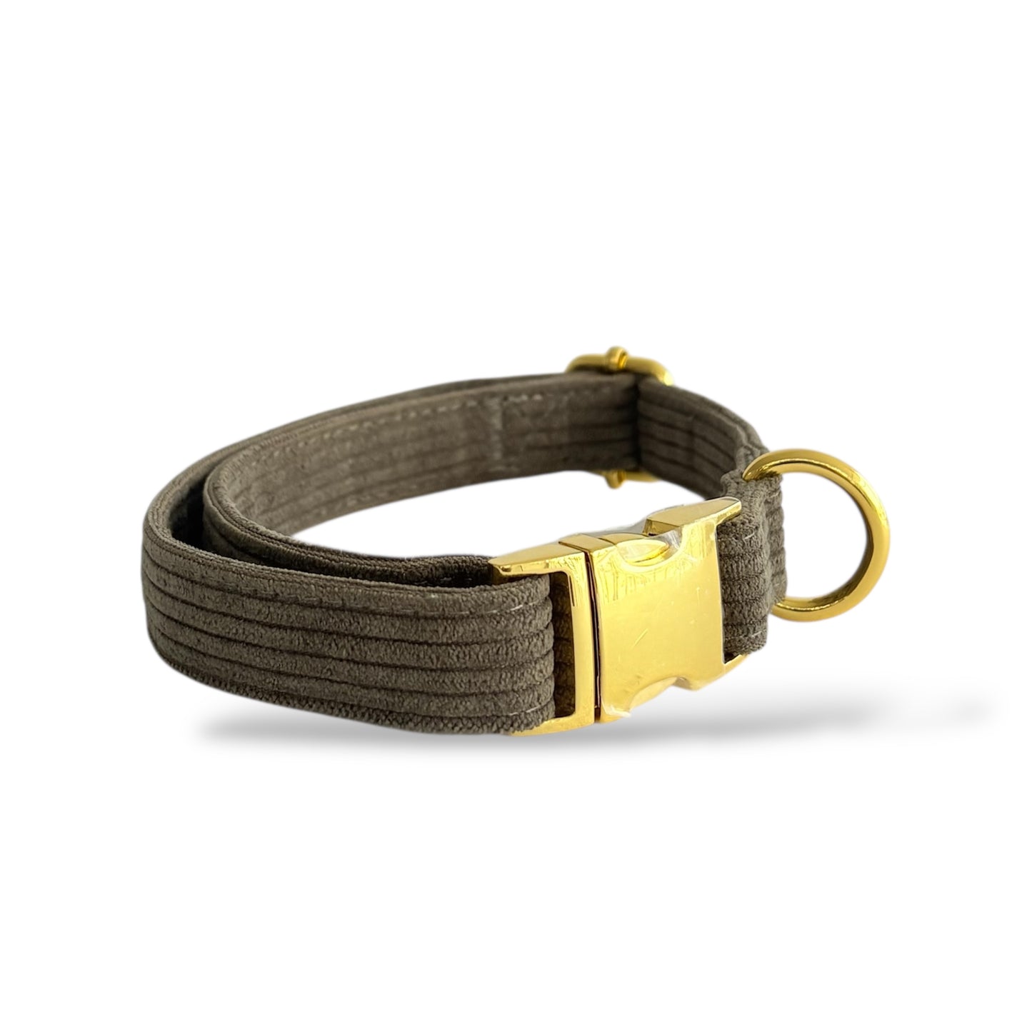 Olive - Corduroy Collar
