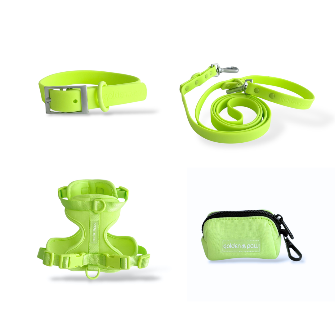 Lime Twist Bundle