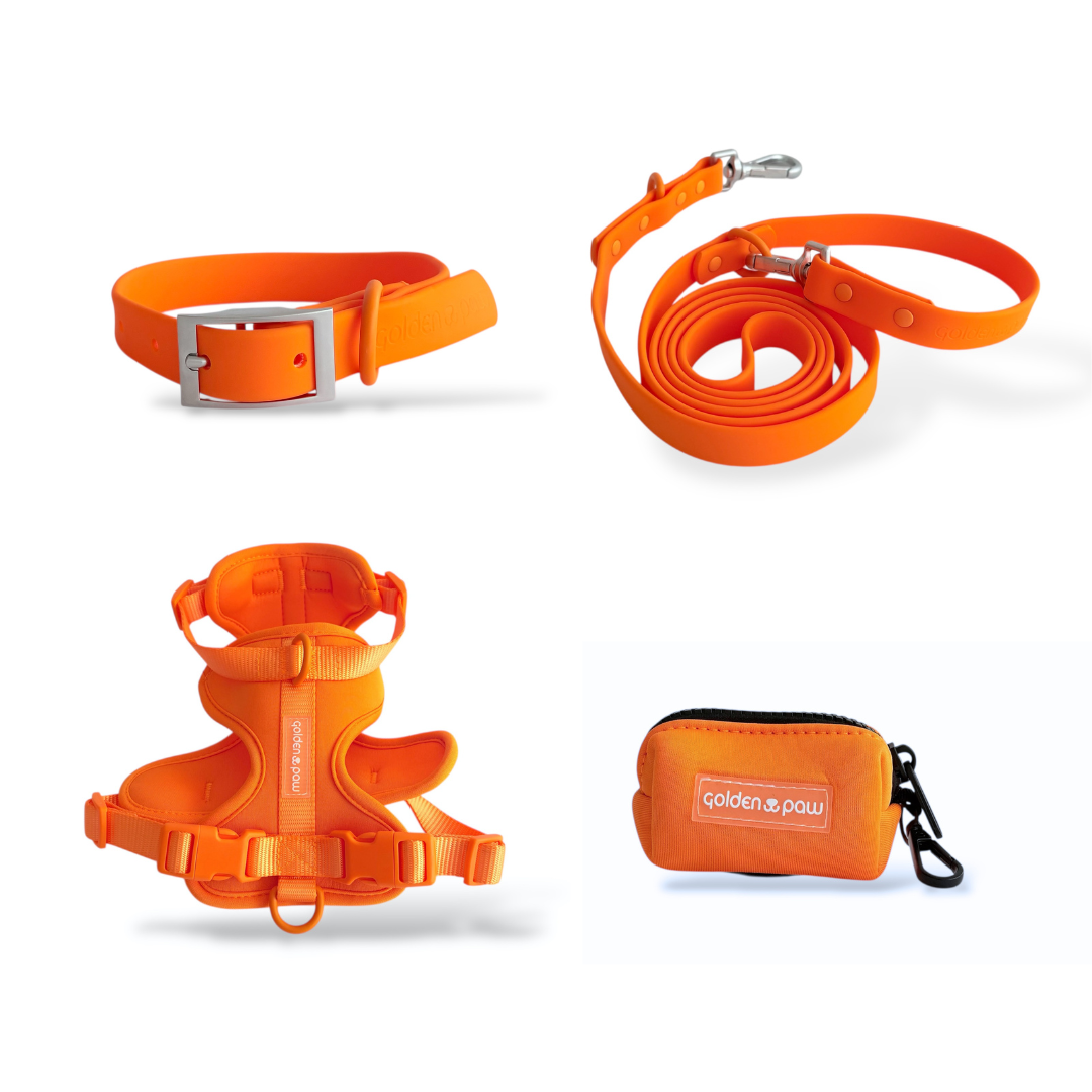 Citrus Pop Bundle