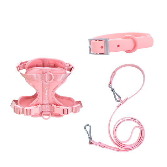 Blush Bundle
