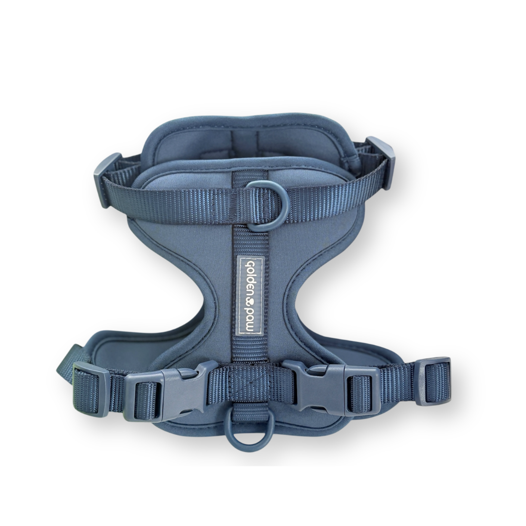 Midnight - Harness