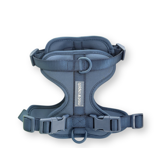 Midnight - Harness