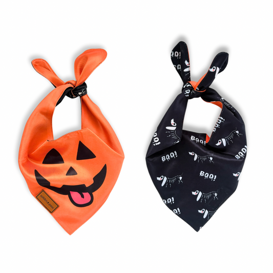 2 in 1 Spooky Bandana