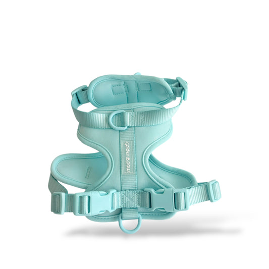 Ocean - Harness