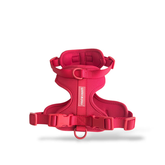 Flame - Harness