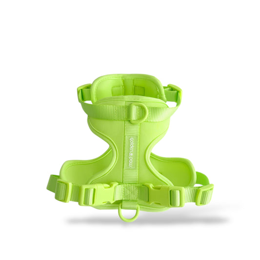 Lime Twist - Harness