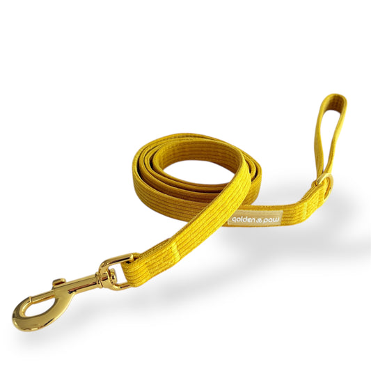 Amber - Corduroy Leash