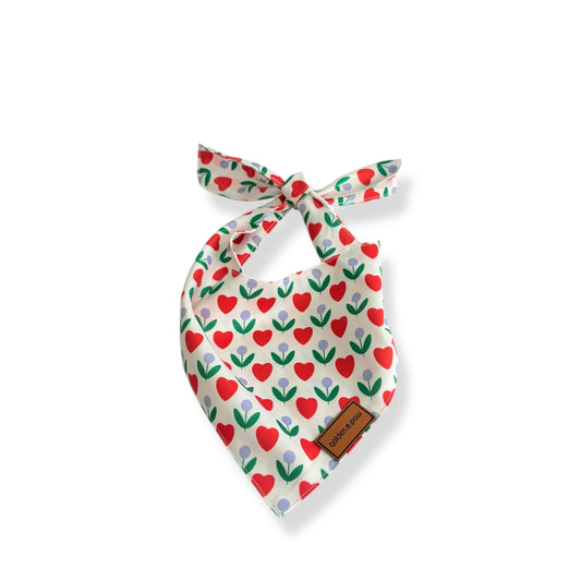 Tulip Crush - Bandana