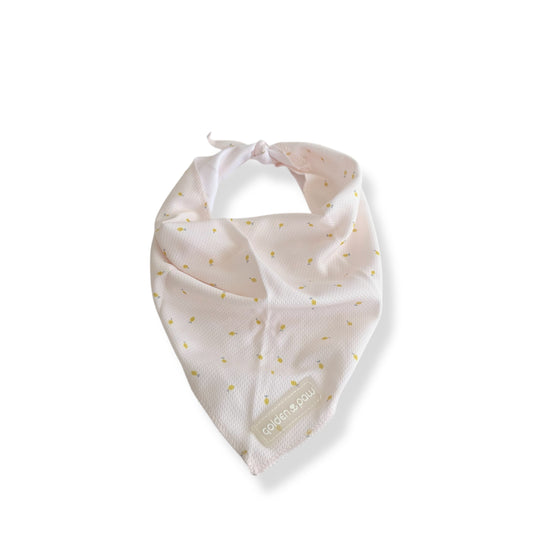 Lemon - Stretch Bandana