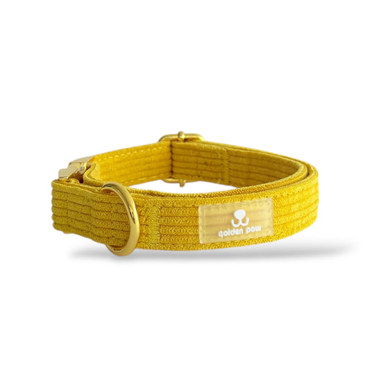 Amber - Corduroy Collar