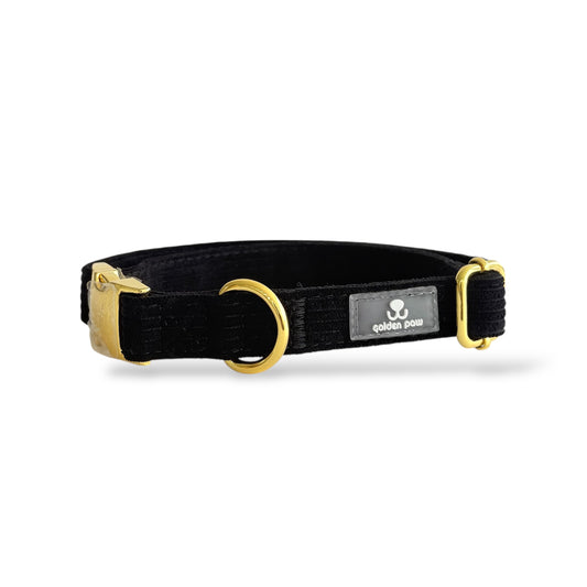 Onyx - Corduroy Collar
