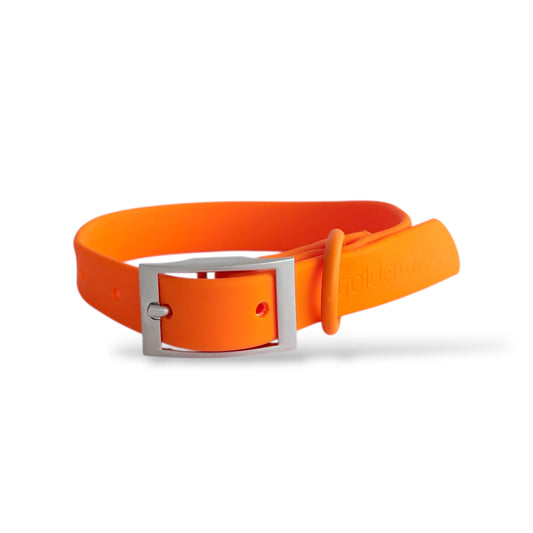 Citrus Pop - Waterproof Collar