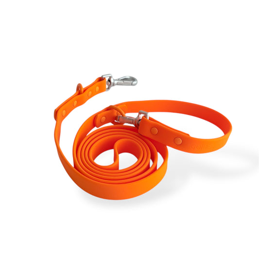 Citrus Pop- Waterproof Leash