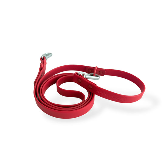 Flame - Waterproof Leash